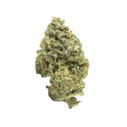 Canify Cannabis flos 22/1 UY Ku. Big Buddha